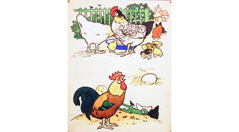 Bunte Illustration: Hühner auf einem Bauernhof. Drei Hennen und mehrere Küken picken Körner, ein Hahn kräht. Im Mittelpunkt de Bildes liegt ein großes Ei in einem Nest aus Stroh.